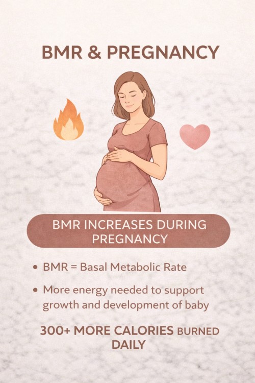 BMR During Pregnancy and Postpartum