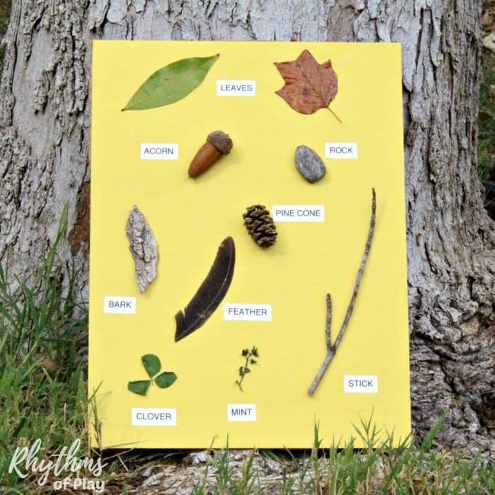 Nature Hunt Bin